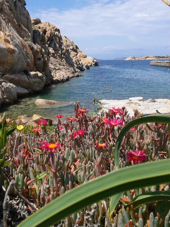 La Maddalena
